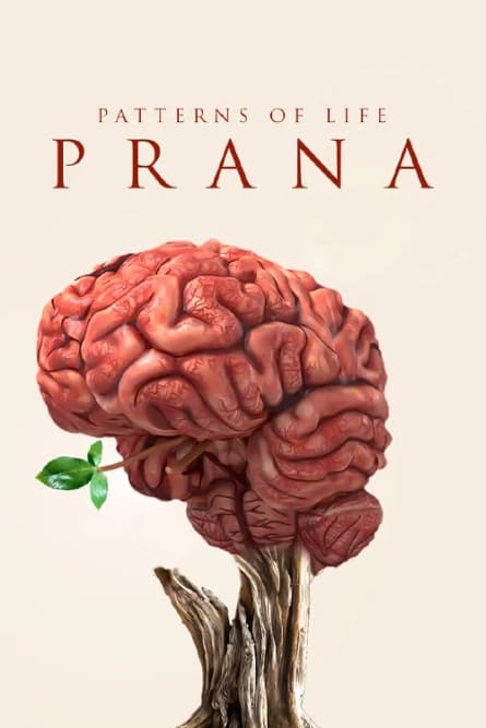 Tipare ale vieții: Prana