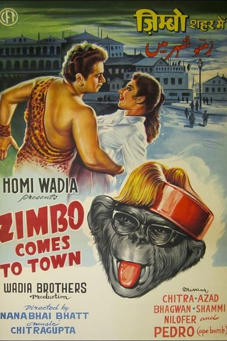 Zimbo vine în oraș