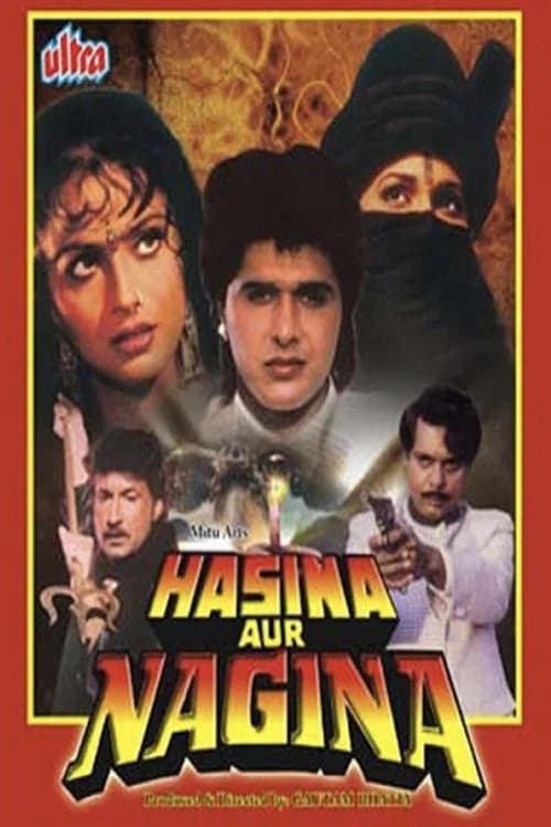 Hasina Aur Nagina (1996)