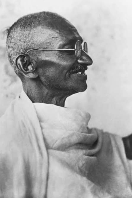 În căutarea lui Gandhi