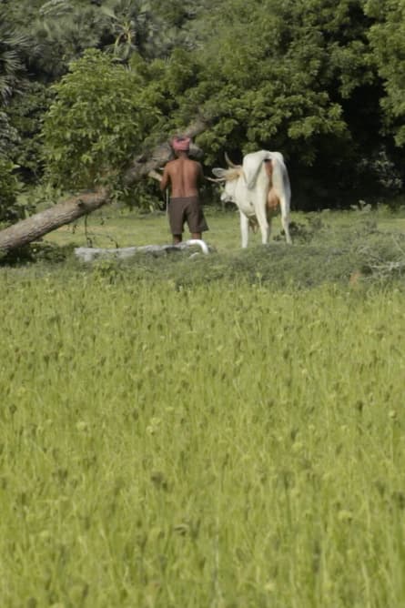 Unde nu pot fi găsit