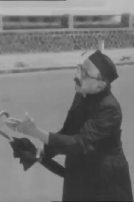 Cazul domnului X