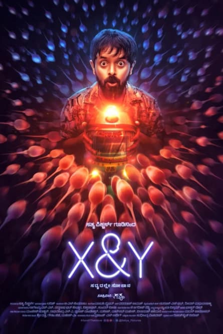 X & Y