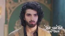 Jaane Anjaane Hum Mile - Episode 284