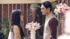 Tu Sooraj Main Saanjh, Piyaji - Episode 225
