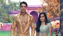 Tu Sooraj Main Saanjh, Piyaji - Episode 229